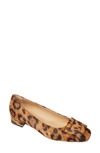 Ann Mashburn Buckle Flat In Savana Leopard Pony