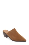 Chocolat Blu Cellia Pointed Toe Mule In Brown Suede