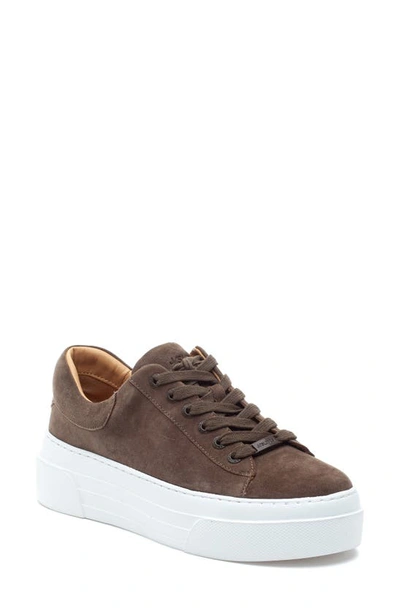 J/slides Nyc Jslides Amanda Platform Sneaker In Khaki Suede