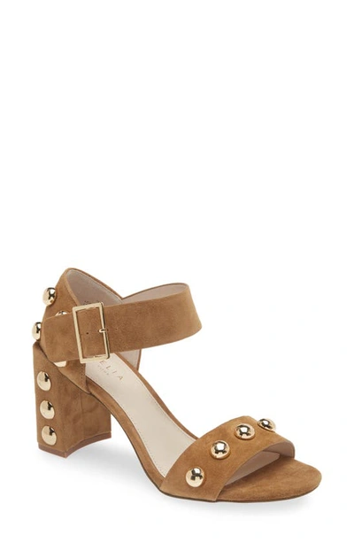 Cecelia New York Gail Stud Sandal In Nutella Suede