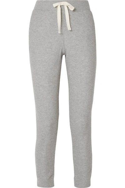 Skin Edie Ribbed Cotton-blend Jersey Track Pants In Heather Grey