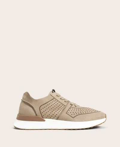 Gentle Souls Laurence Nubuck Jogger Sneaker In Mushroom