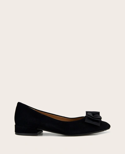 Gentle Souls Atlas Suede Bow Flat In Black