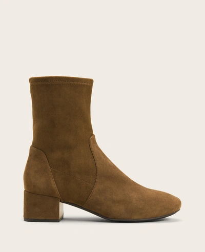 Gentle Souls Ella Leather Stretch Bootie In Brown