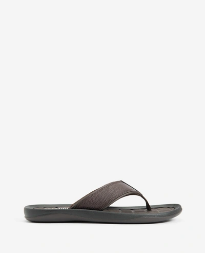 Reaction Kenneth Cole Four Sandal In Brown