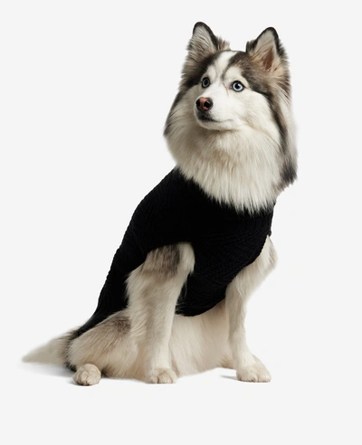 Kenneth Cole Cable Knit Dog Sweater In Black