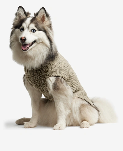Kenneth Cole Cable Knit Dog Sweater In Gray