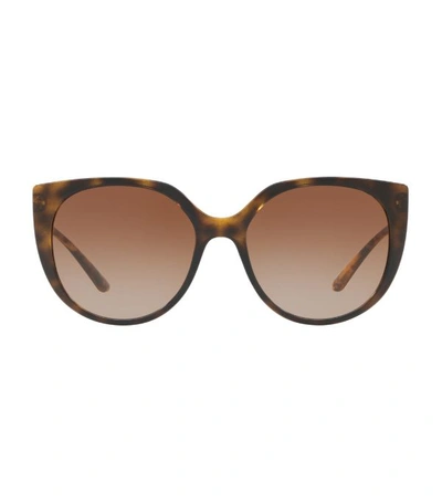 Dolce & Gabbana Gradient Butterfly Sunglasses In .