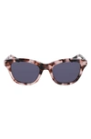 Shinola 52mm Cat Eye Sunglasses In Blush Tortoise