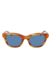 Shinola 52mm Cat Eye Sunglasses In Amber Horn