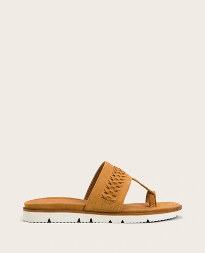 Gentle Souls Lavern Lite Thong Braided Sandal In Cognac