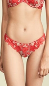 Fleur Du Mal Lily Lace Thong In Red Poppy