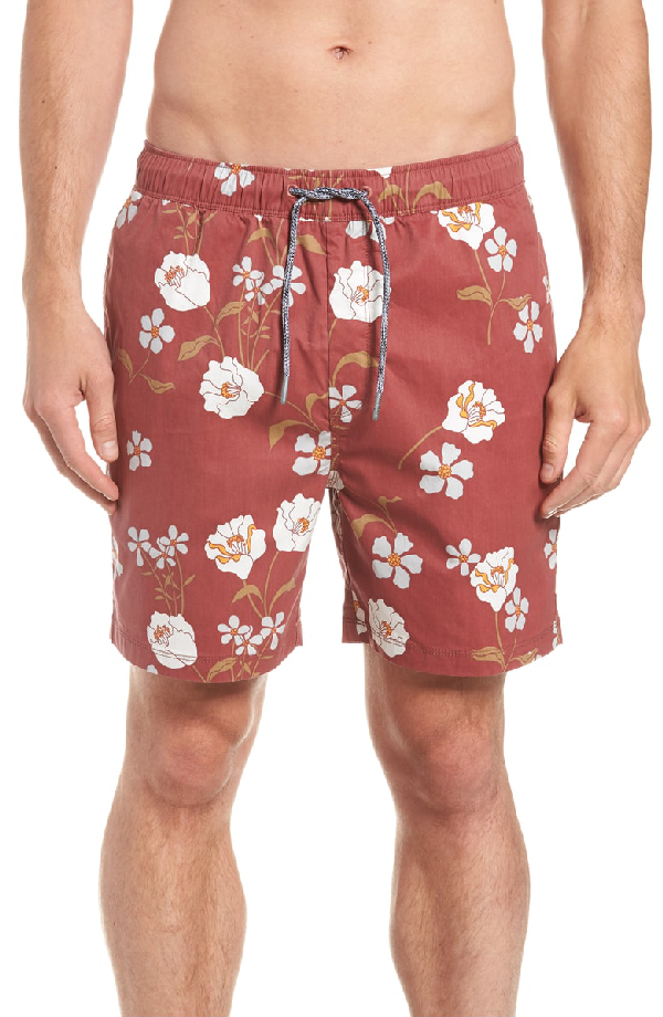 zanerobe swim