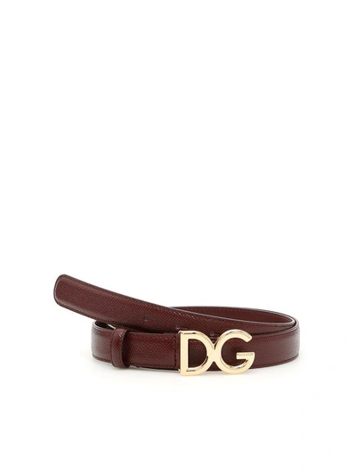 Dolce & Gabbana Dg Logo Belt In Vino|rosso