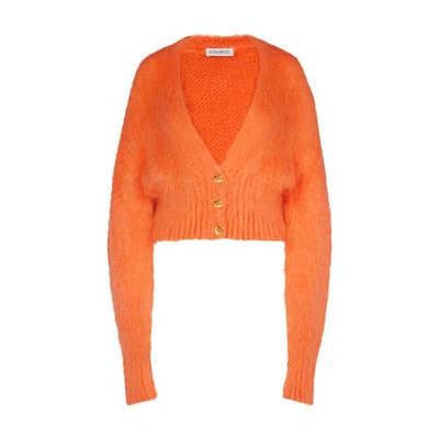Nina Ricci V-neck Mohair-blend Cardigan In Orange