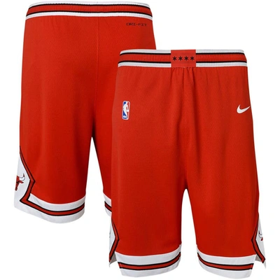 Nike Kids' Youth  Red Chicago Bulls Icon Edition Mesh Performance Swingman Shorts