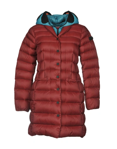 Ai Riders On The Storm Down Jacket In Maroon