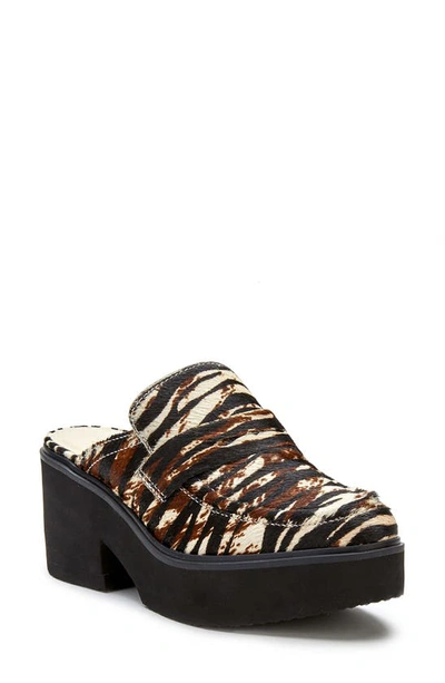 Matisse Kelly Clog In Zebra Print Calf Hair