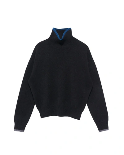 Demylee Hannes Turtleneck Sweater In Black