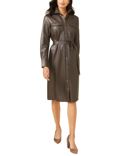 J.mclaughlin Trouve Dress In Brown