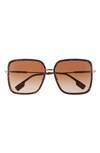 Burberry Dionne 59mm Gradient Square Sunglasses In Dark Havana