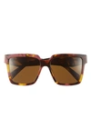 Prada 56mm Square Sunglasses In Brown
