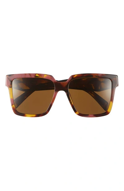 Prada 56mm Square Sunglasses In Brown