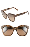 Maui Jim Honey Girl 51mm Polarizedplus2 Cat Eye Sunglasses - Caramel/ Bronze