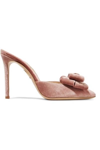 Charlotte Olympia Stupendous Bow-embellished Velvet Mules In Pink