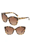 Tiffany & Co Diamond Point 55mm Gradient Square Sunglasses - Yellow Havana Gradient