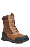 Ugg Emmett Waterproof High Top Hiking Duck Boot In Chestnut