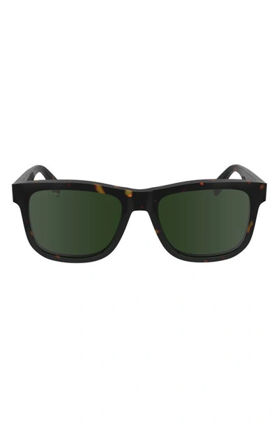 Lacoste Premium Heritage 55mm Rectangular Sunglasses In Dark Havana