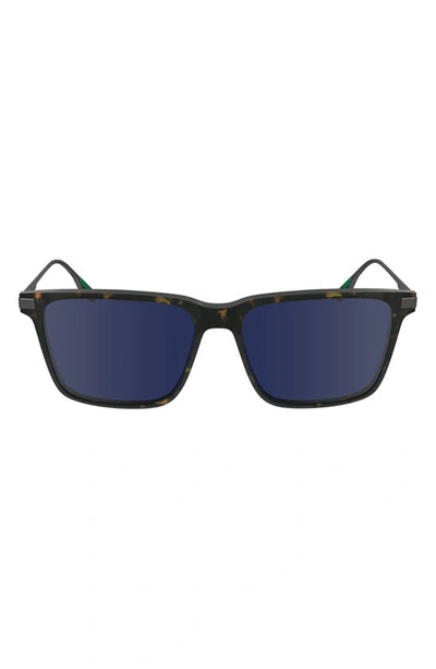 Lacoste Premium Heritage 55mm Rectangular Sunglasses In Dark Havana