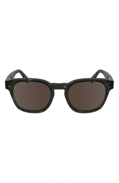 Lacoste Premium Heritage 49mm Rectangular Sunglasses In Dark Havana