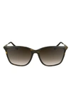 Lacoste Premium Heritage 57mm Gradient Rectangular Sunglasses In Dark Havana