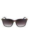 Lacoste Premium Heritage 57mm Gradient Rectangular Sunglasses In Havana