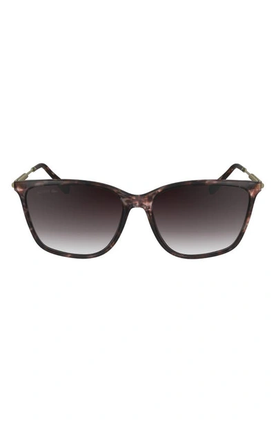 Lacoste Premium Heritage 57mm Gradient Rectangular Sunglasses In Havana