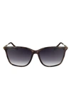Lacoste Premium Heritage 57mm Gradient Rectangular Sunglasses In Purple Havana