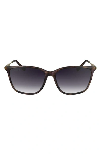 Lacoste Premium Heritage 57mm Gradient Rectangular Sunglasses In Purple Havana