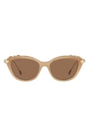 Swarovski 55mm Cat Eye Sunglasses In Beige