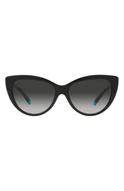Tiffany & Co 56mm Gradient Cat Eye Sunglasses In Black