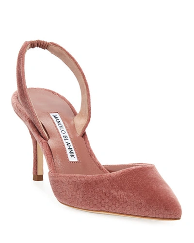 Manolo Blahnik Carolyne Etched Fabric Mid-heel Halter Pump In Pink