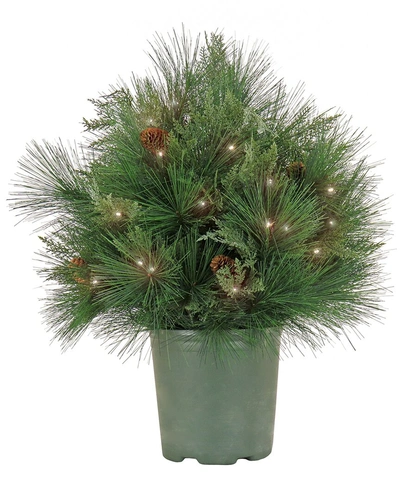 Hgtv 26in Black Tie Christmas Needles & Cedar Urn Filler In Green