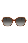 Ferragamo 57mm Gradient Rounded Square Sunglasses In Tortoise/ Khaki