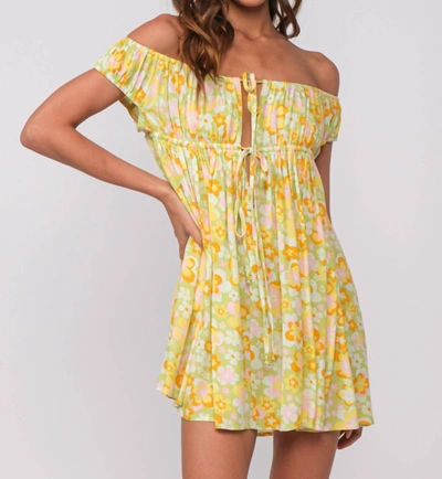 open lace back dress Petal & Pup Women's Luna One Shoulder Maxi Dress