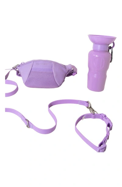 Springer Dog Sling Bag & 22 Oz. Water Bottle Set In Lilac