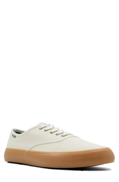 Element Passiph Leather Sneaker In Open White