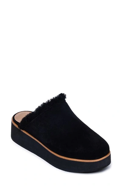 Bernardo Footwear Phoebe Genuine Shearling Platform Clog In Black