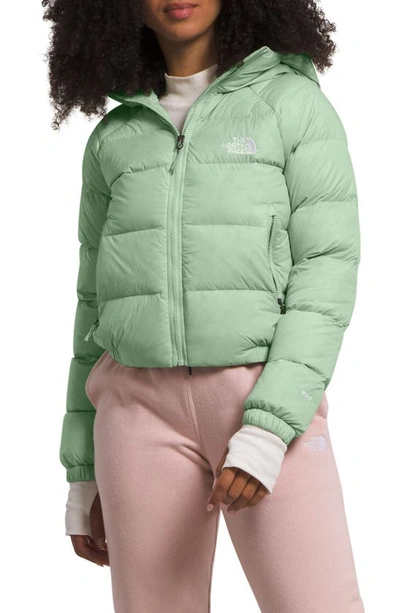 The North Face Hydrenalite Hooded Down Jacket In Misty Sage