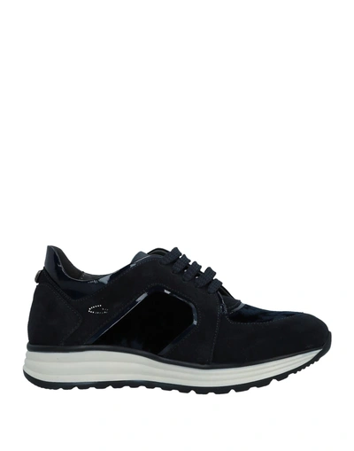 Alberto Guardiani Sneakers In Dark Blue